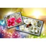 Sunlight Readable Displays